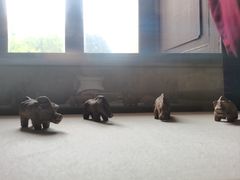 -北京动物园-畅观楼