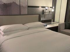 -新加坡乌节希尔顿酒店 (SG Clean)