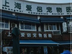 -爱侣宠医·鹦鹉专科·小型哺乳类·异宠专科(灵石路店)