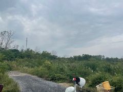 -盐城丹顶鹤湿地生态旅游区