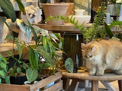 -自由生长植物工作室(深港花卉中心店)