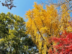 -狼山风景名胜区