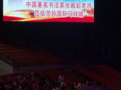 -灵玲国际马戏城