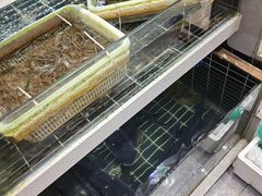 -农乐园食府(梅城镇店)