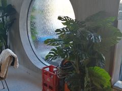 -窦四牛杂面(总店)