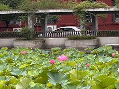 -四川大学(望江校区)