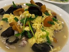 -陶然饺子城(奥体中路店)