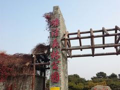 -塘沽森林公园