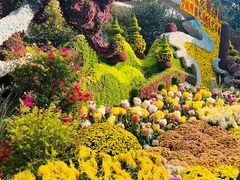 -杭州植物园
