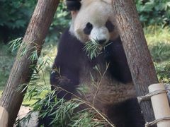 -杭州动物园
