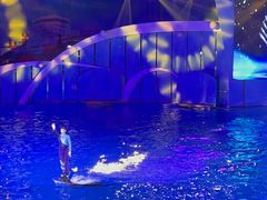 -海合安青岛极地海洋公园