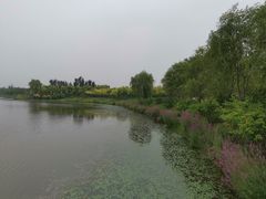 -东郊湿地公园