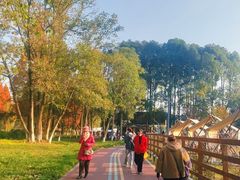 -蜀绣公园