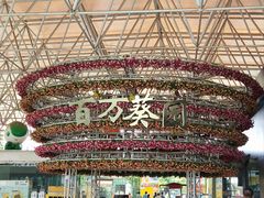 -百万葵园