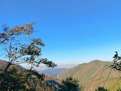 -四明山国家森林公园