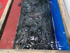 -活鱼馆(宜兴埠店)