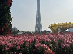 -海心沙亚运公园