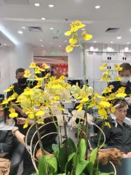 点击看大图 -Kraemer Paris 苏豪路易士·嘉玛发廊