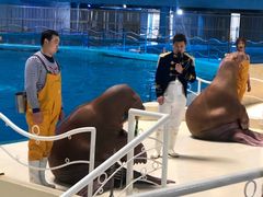 -泉城欧乐堡海洋极地世界