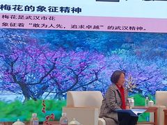 -轮渡红巷旅游码头