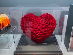 -ROSEONLY诺誓(广州K11店)