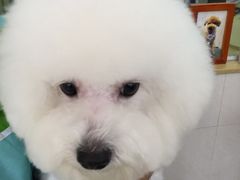 -瑞鹏宠物医院·骨科·猫科·内科(第一中心)