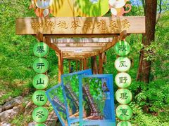 -大岭沟猕猴桃谷风景区