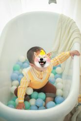 -婴爱儿童摄影 BabyloveStudio(中山门店)