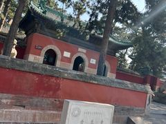 -普乐寺