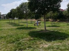 -武汉紫薇都市田园