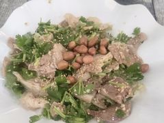 -东鸽皇(奥园·中环广场店)