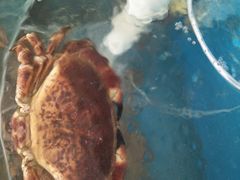 -聚德福海鲜家常菜(刘庄店)