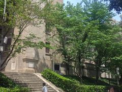 -武汉大学-樱园