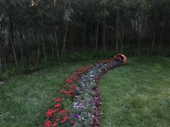 -思念果岭悦温泉