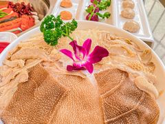 -悦见花开·花园里的火锅·露营·下午茶