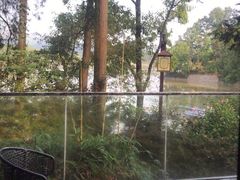 -周家大辣椒面皮(中山街店)