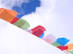 -大冬树山垭口