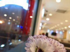 -新发记港式茶餐厅(黄浦店)