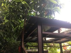 -合晋食府(广州合晋帝苑酒店)