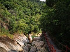 -广州白江湖森林公园