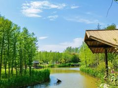 -东平国家森林公园