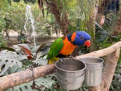 -南宫五洲植物乐园