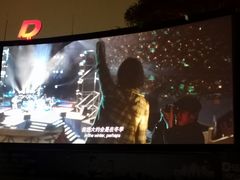 -枫花园汽车电影院(朝阳公园店)