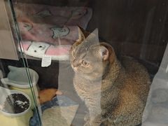 -财東财·棋牌(五角场店)