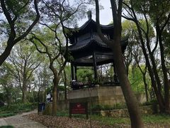 -上海佘山国家森林公园天马山园