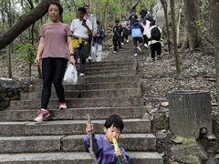 -紫金山天文台