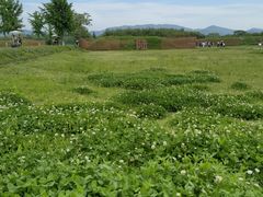 -良渚古城遗址公园