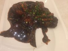 -上海安亭别墅花园酒店