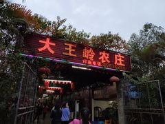 门面-大王岭农庄