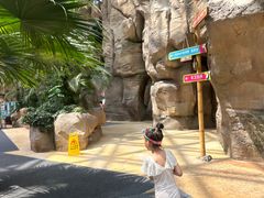 -杭州开元森泊度假乐园